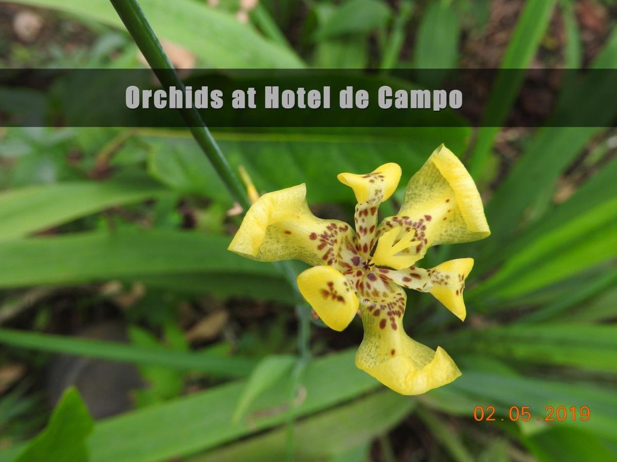 Hotel De Campo Caño Negro 외부 사진